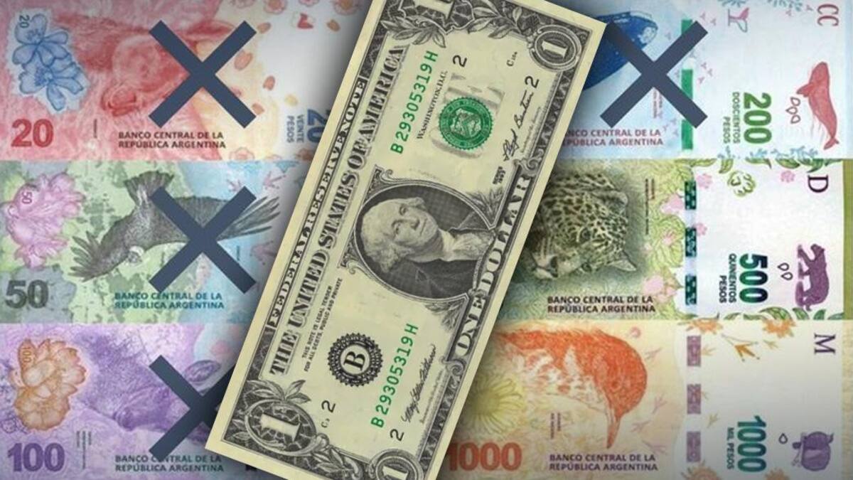 Billetes de pesos y dólar