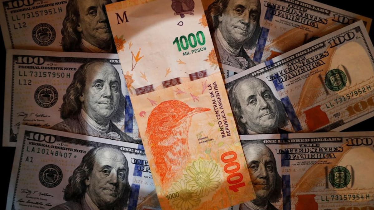 billetes de pesos y dólares, NA