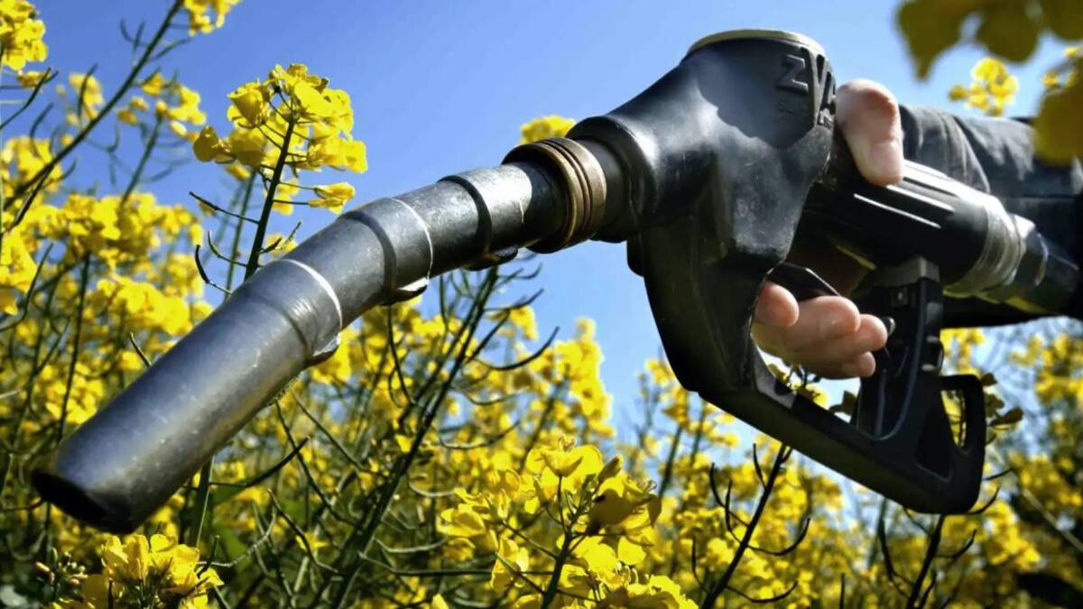 Coches biocarburantes: Italia le pidió a la UE que se puedan utilizar a partir de 2035