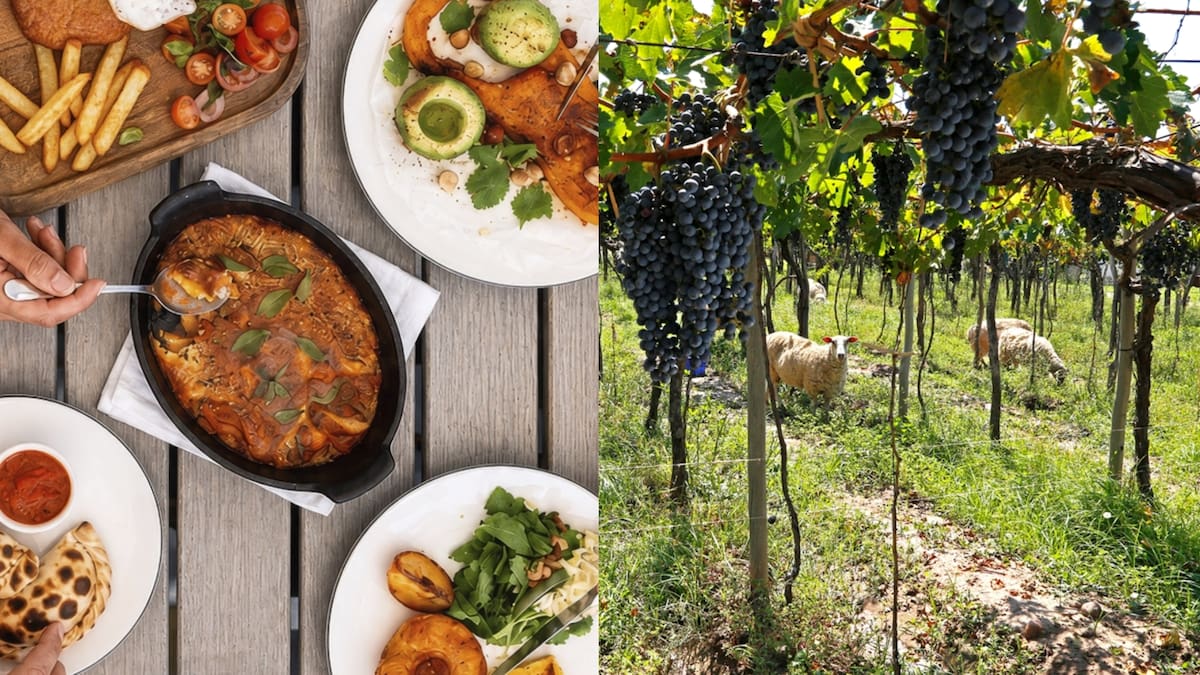 Un restaurante argentino ganó el oro en sustentabilidad: cuánto cuesta un menú familiar con tres entradas, dos postres y cinco platos principales