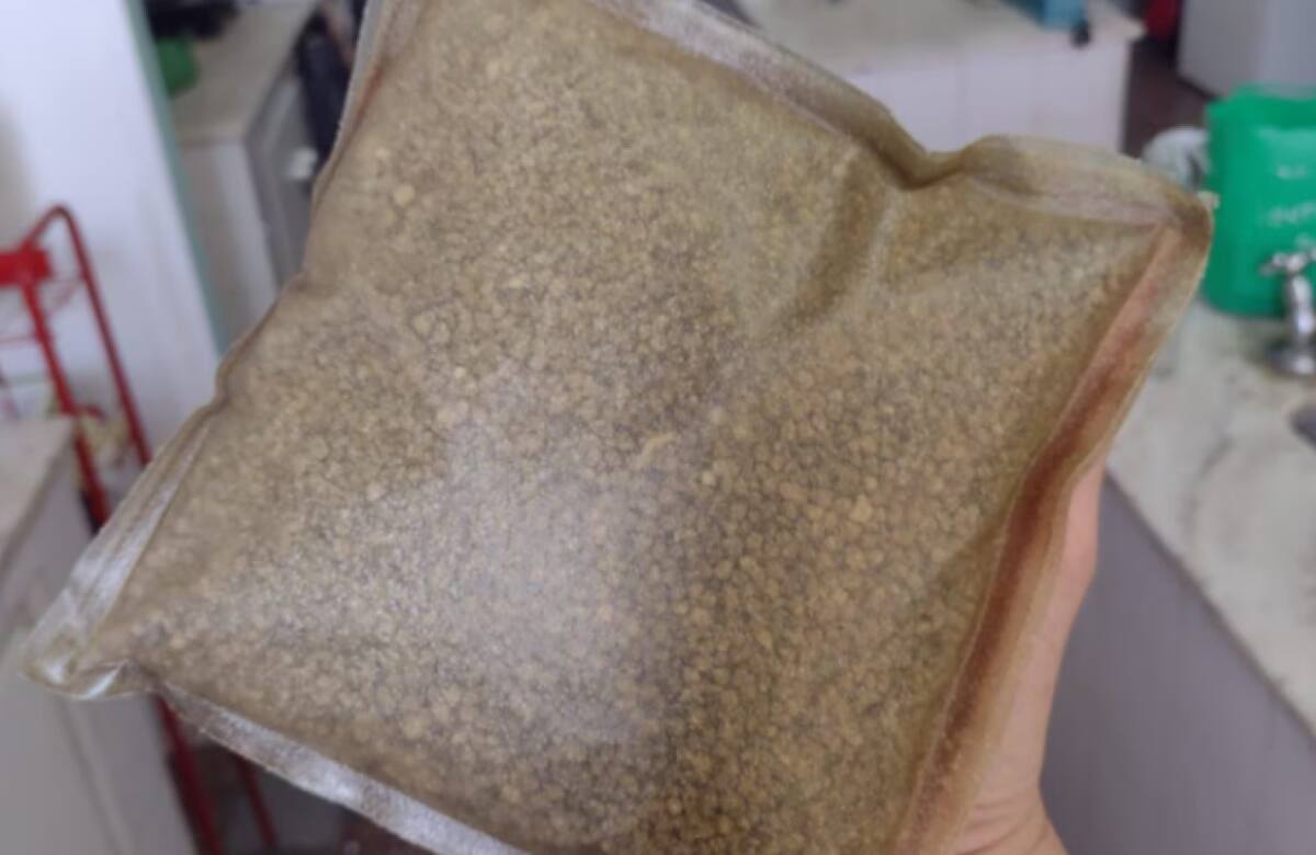 Bolsas plásticas con cáscaras de cítricos. Foto: Gentileza Citricplas.