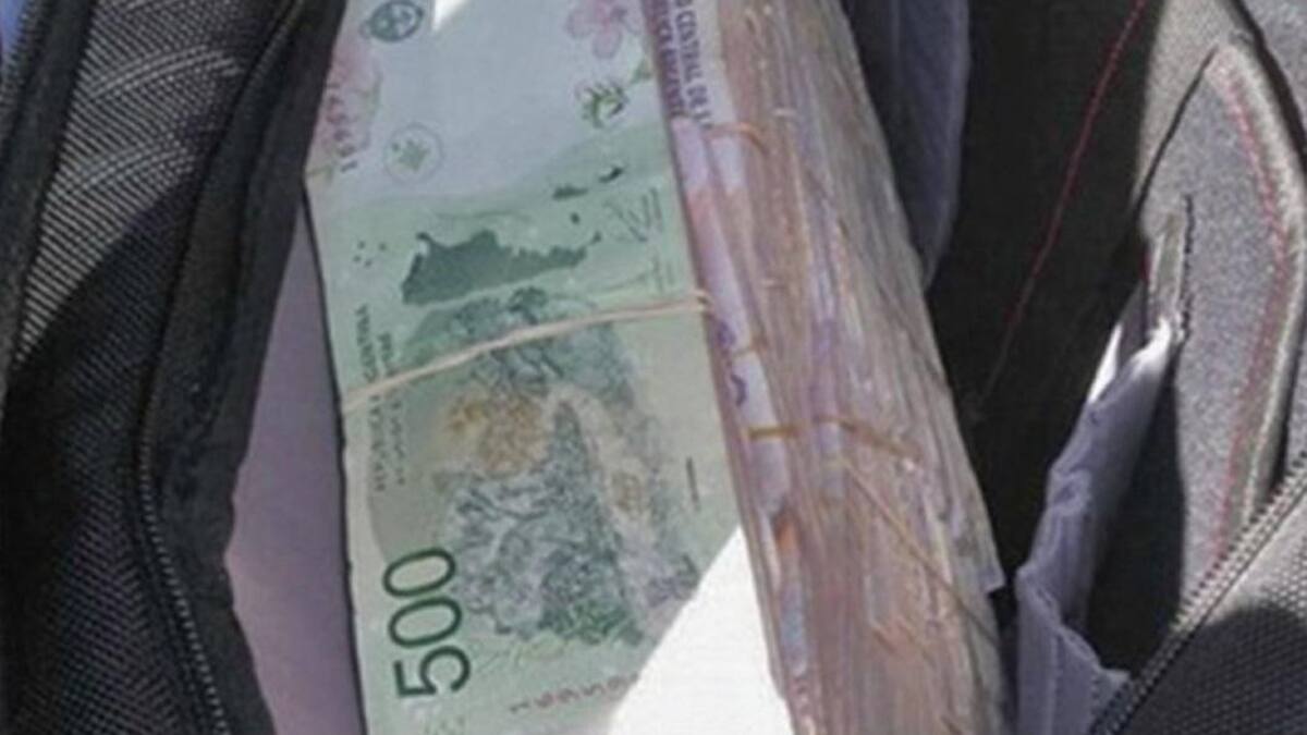 Bolsos con dinero que llevaba Diego Matus - causa contra Milagro Sala