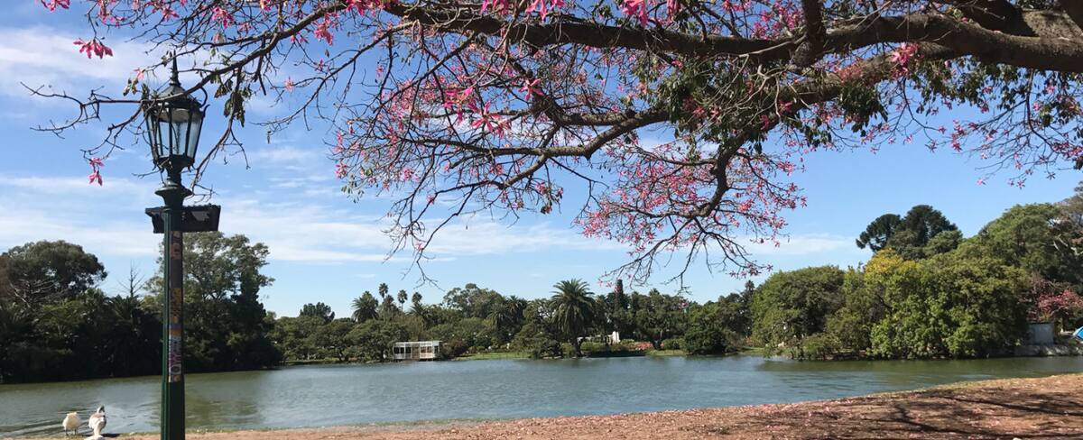 Bosques de Palermo. Foto Gobierno de la Ciudad