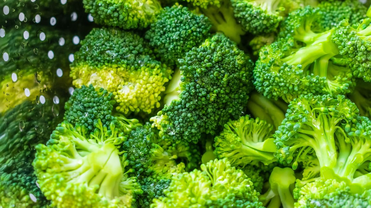 Brócoli. Foto: Freepik.