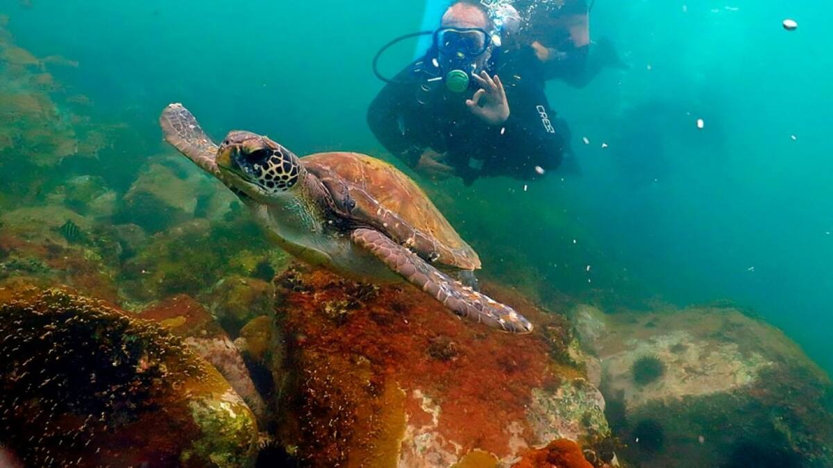 Buceo y snorkel en Buzios, Brasil. Foto: buzios.com.