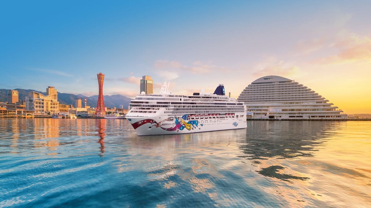 Buscan empleados para trabajar en cruceros internacionales: ofrecen alojamiento gratis y no piden estudios superiores
