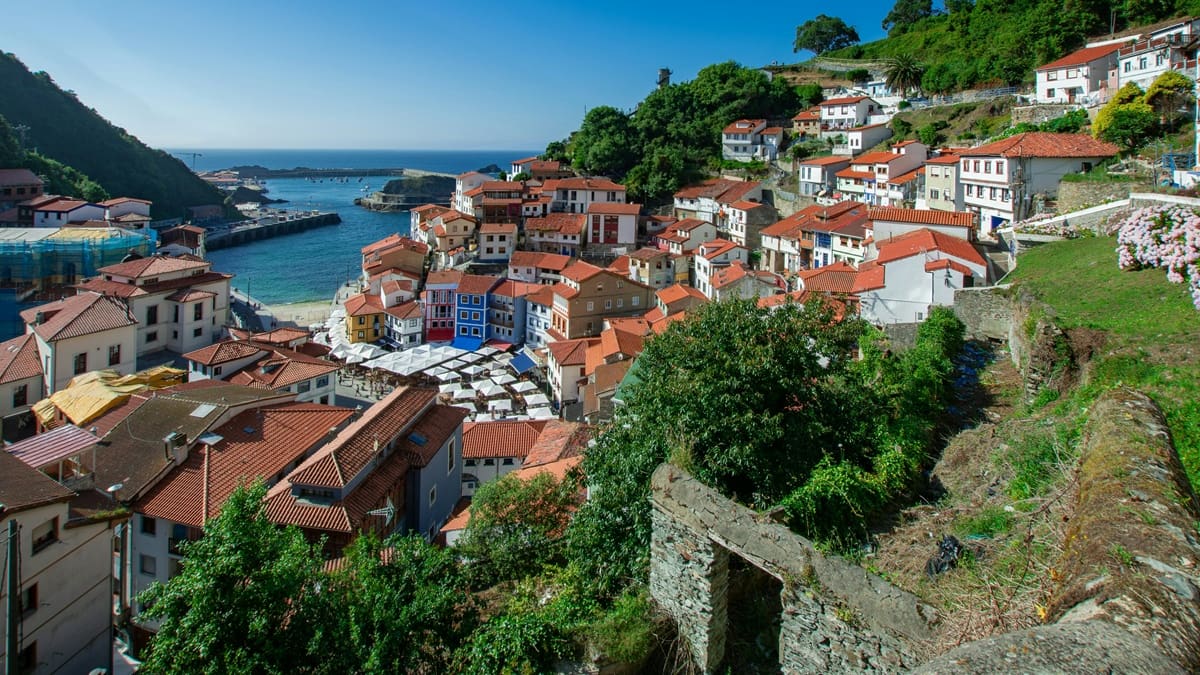 Buscan voluntarios para cumplir con solo 3 horas diarias de trabajo: brindan alojamiento gratis y 2 días libres en un hermoso destino de España