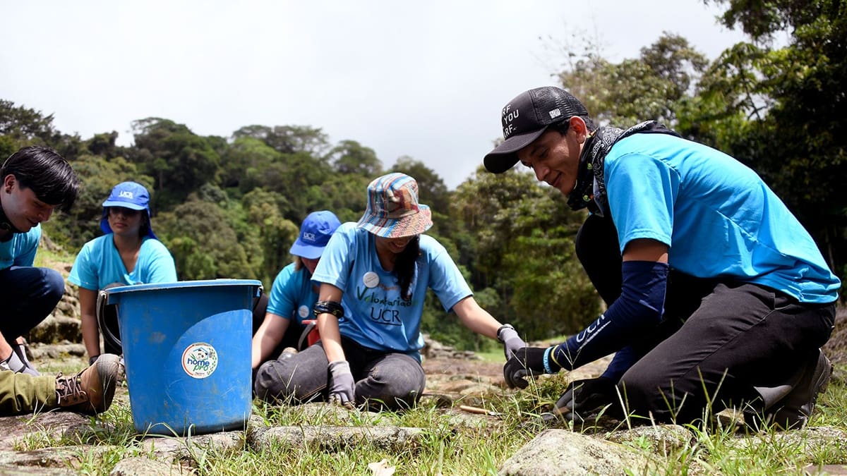 Buscan voluntarios para un proyecto de agricultura en Costa Rica: ofrecen alojamiento y formación por 18 horas semanales