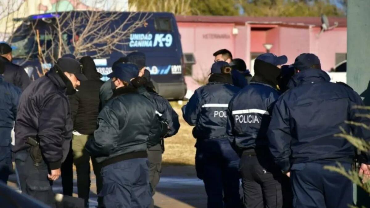 Búsqueda de Guadalupe Lucero: rastrillajes en San Luis con 400 gendarmes y policías federales