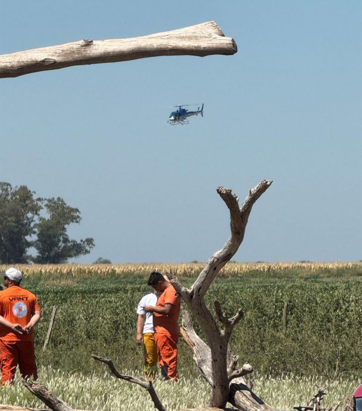 Búsqueda de Lian Gael Flores Soraire. Fotos: NA.