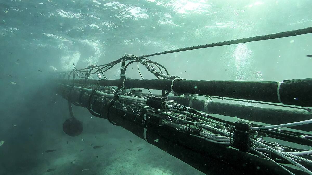 Cables submarinos.