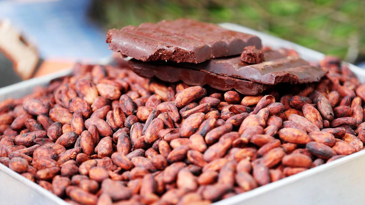 Imposible comer chocolate: la tonelada de cacao está más de 9000 dólares y superó al cobre