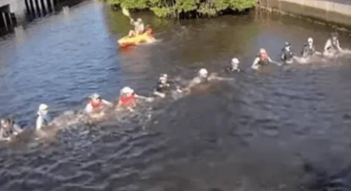 Cadena humana para rescatar a un delfín