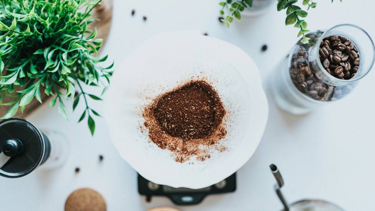Cómo reemplazar el café. Foto Unsplash.