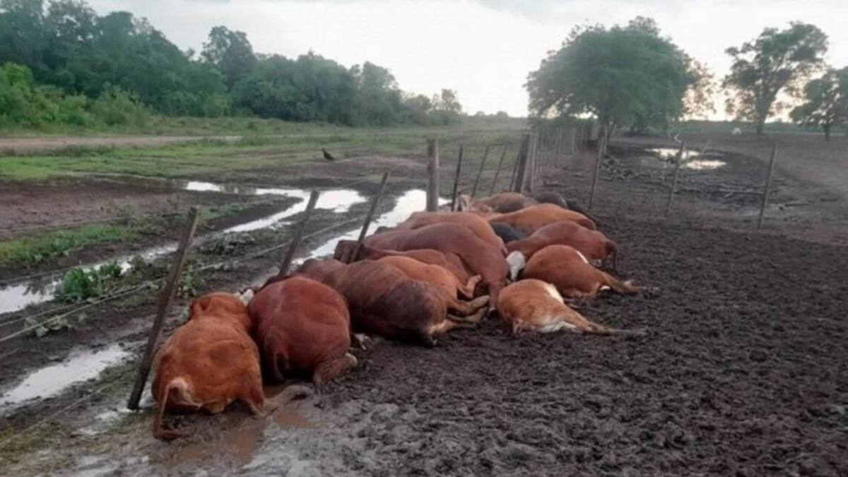 Caída de rayo en Formosa, NA