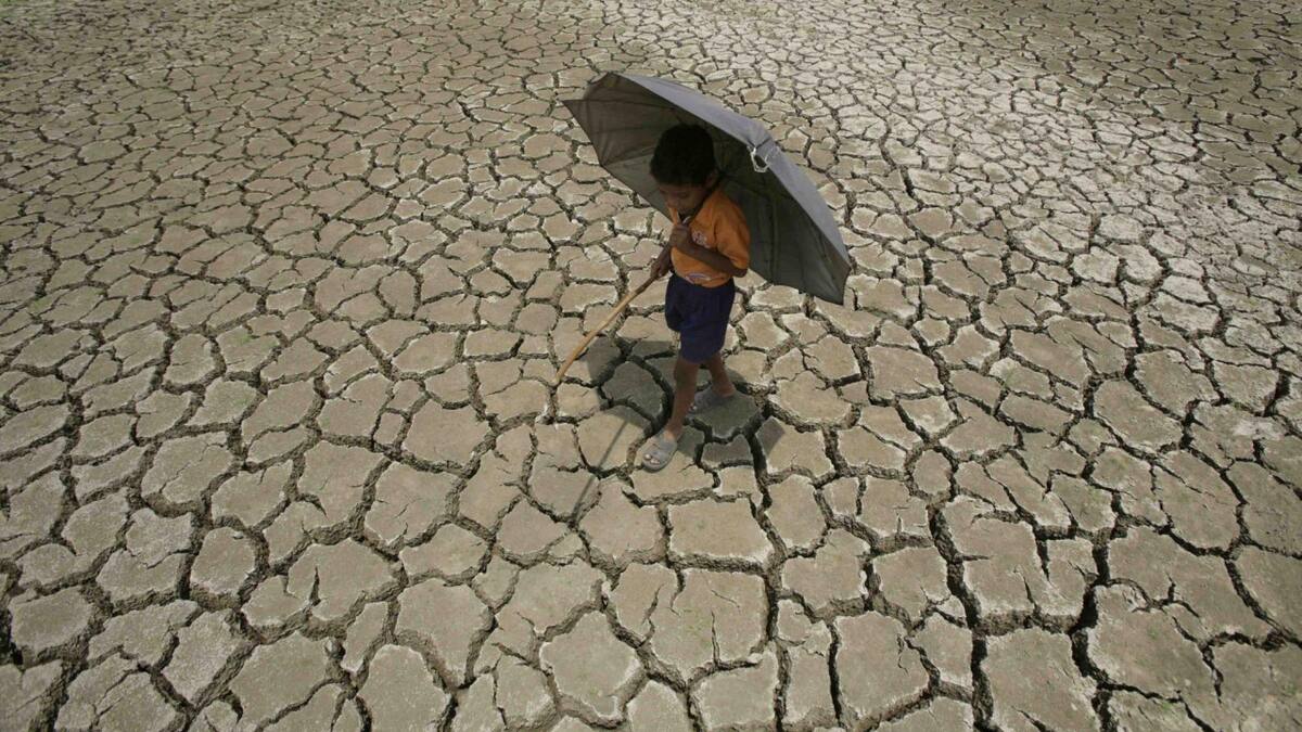 Calentamiento global. Foto: EFE