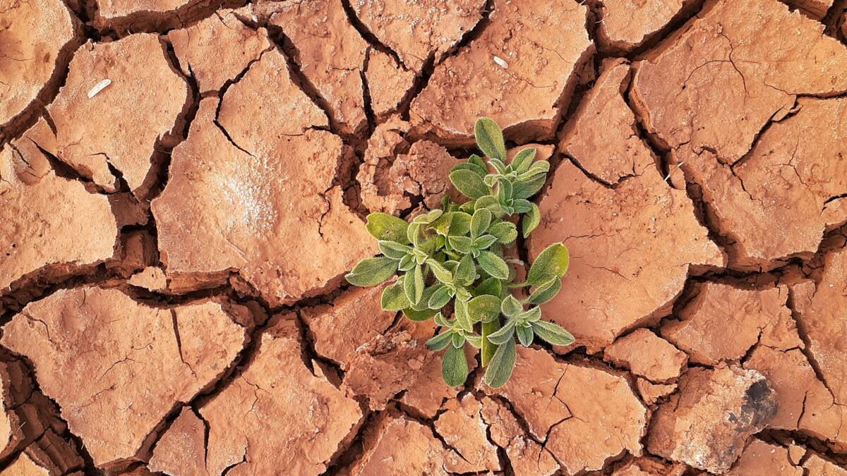 Las cifras alarmante del calentamiento global. Foto: Unsplash.