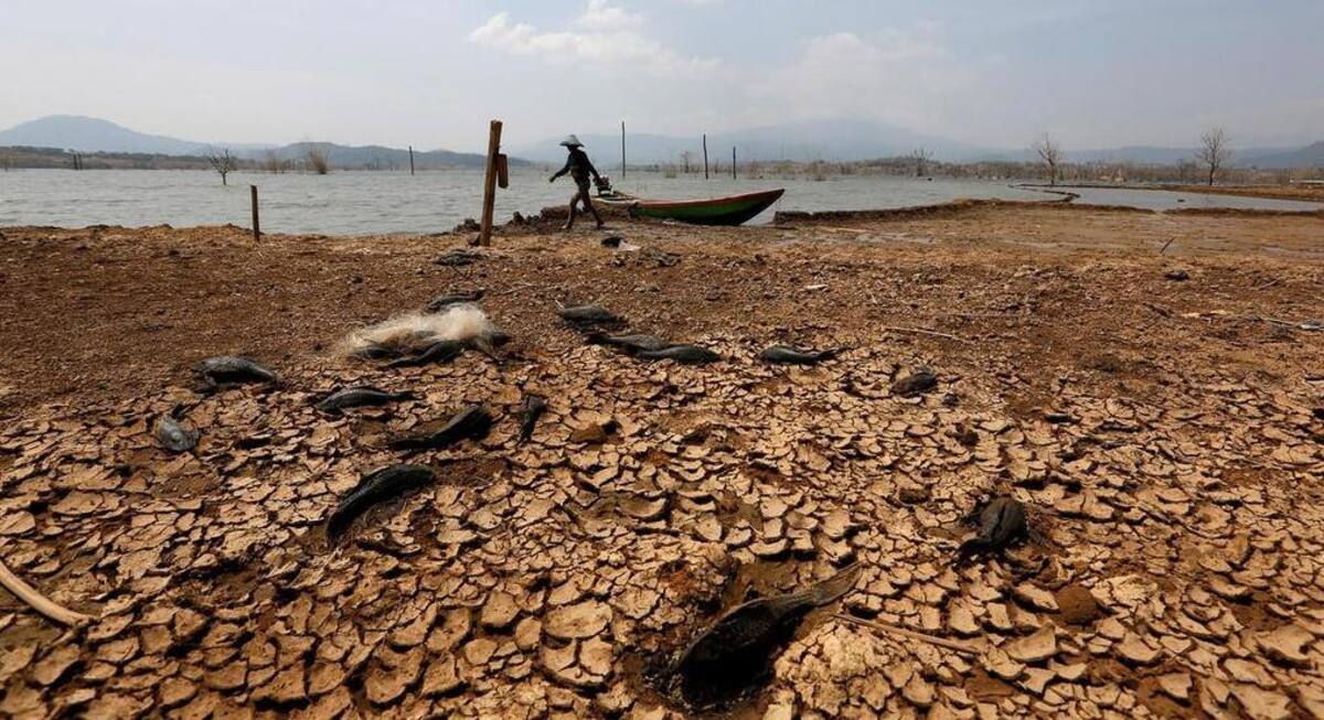 Calentamiento global, informe. Foto: REUTERS
