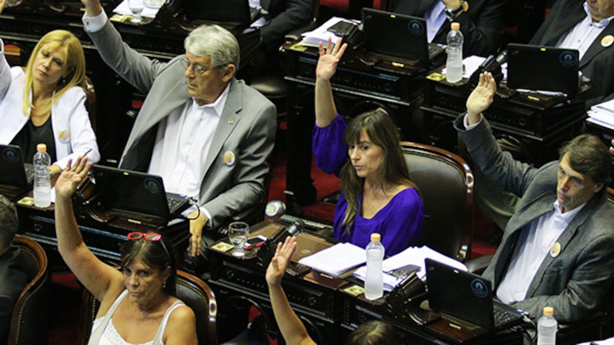 Camara de Diputados - Ley la reforma de Inteligencia (NA)