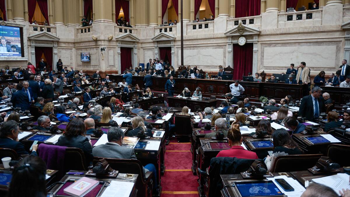 Cámara de Diputados.