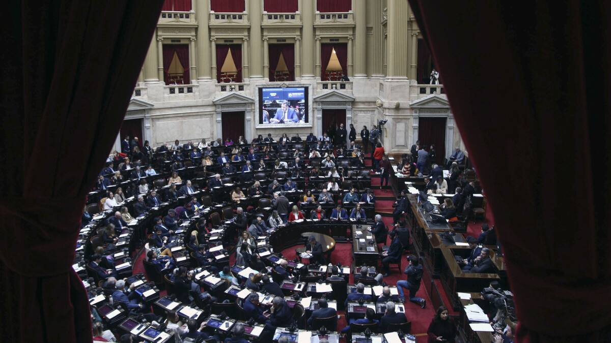 Diputados le dio media sanción al proyecto de Ficha Limpia