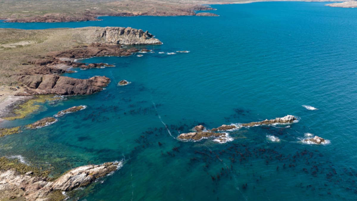 Camarones, Chubut.