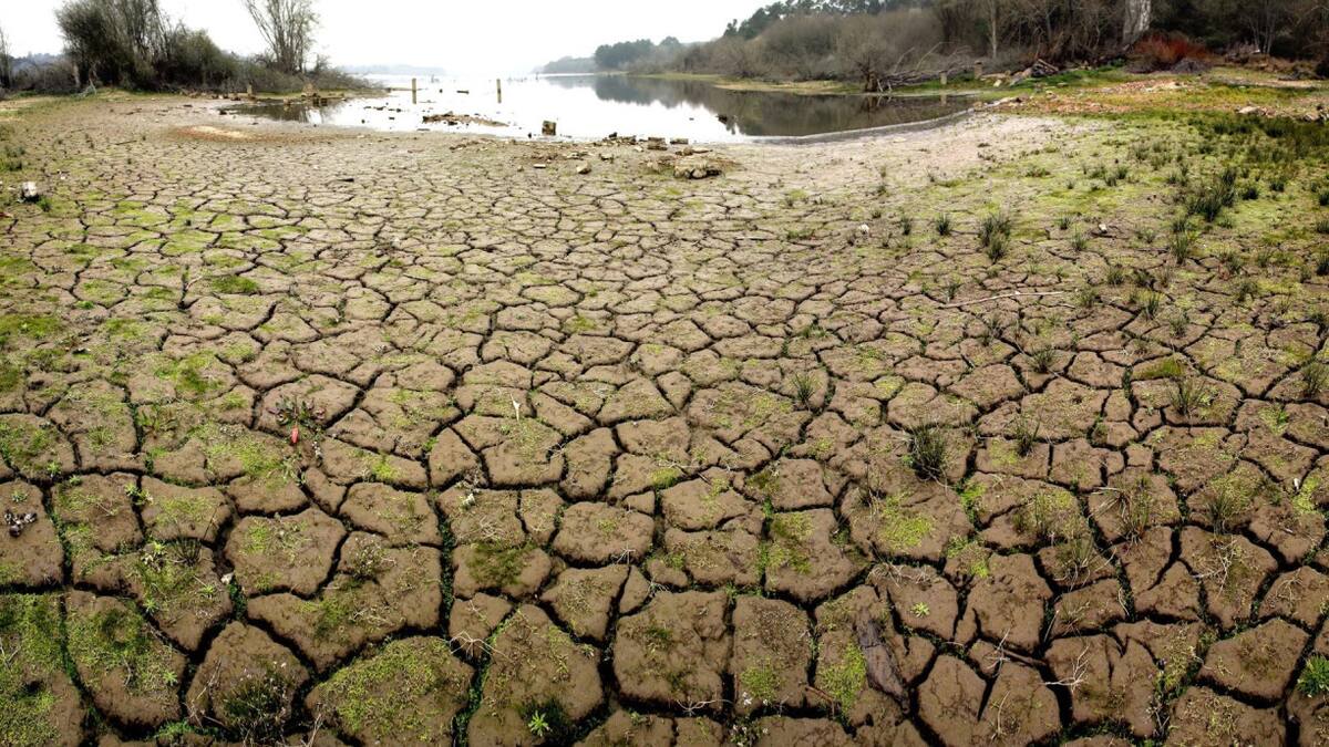 Cambio climático. Foto: EFE