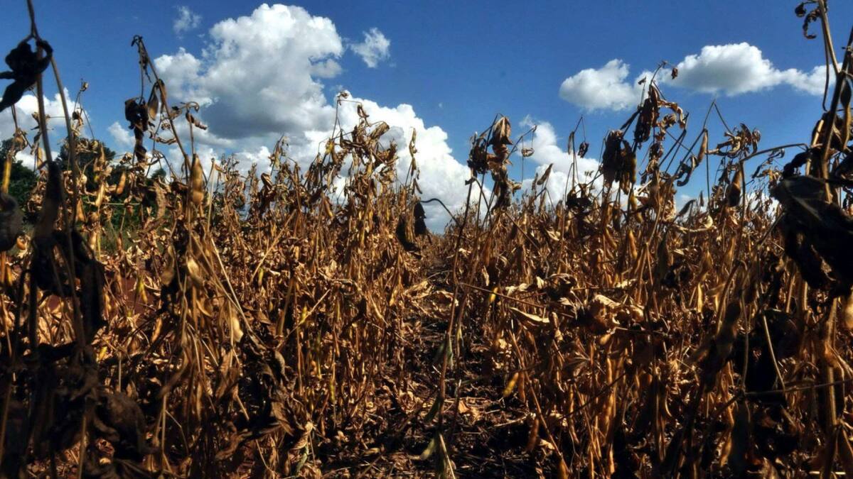 Cambio climático. Foto: EFE