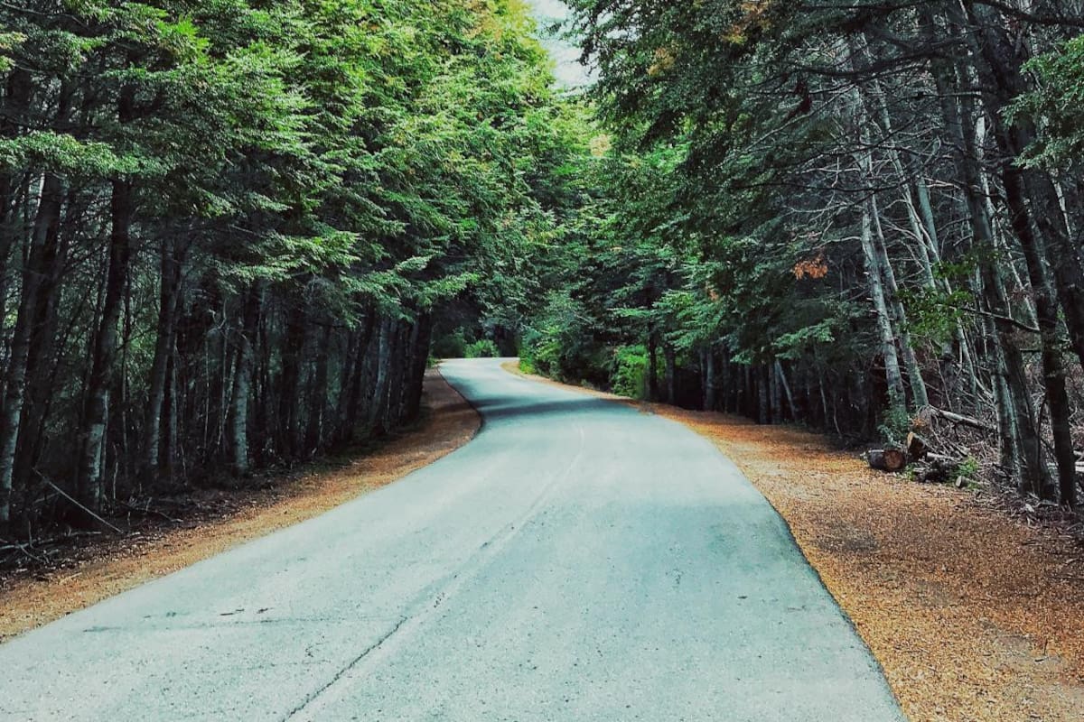 Camino circuito chico - @unsplash