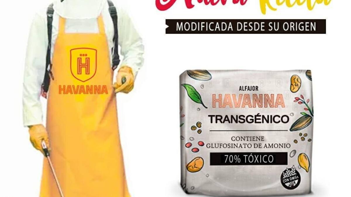 Campaña por alfajores Havanna Transgénicos, Foto: Proyecto Squatters