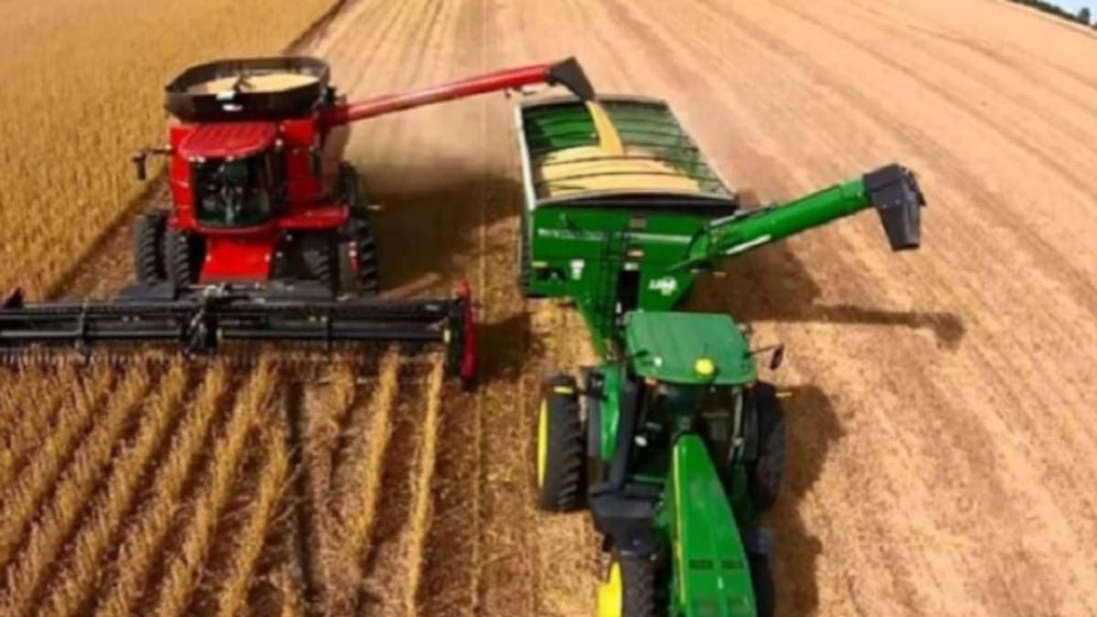 Retenciones al agro: cuánto pagarán la soja, el maíz y el girasol tras el decreto del Gobierno