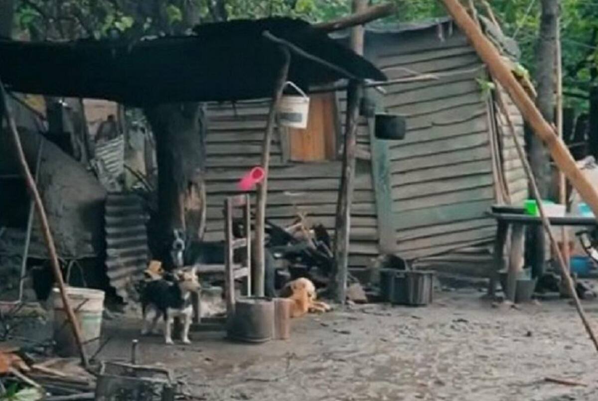 Candidato a intendente tucumano, NA