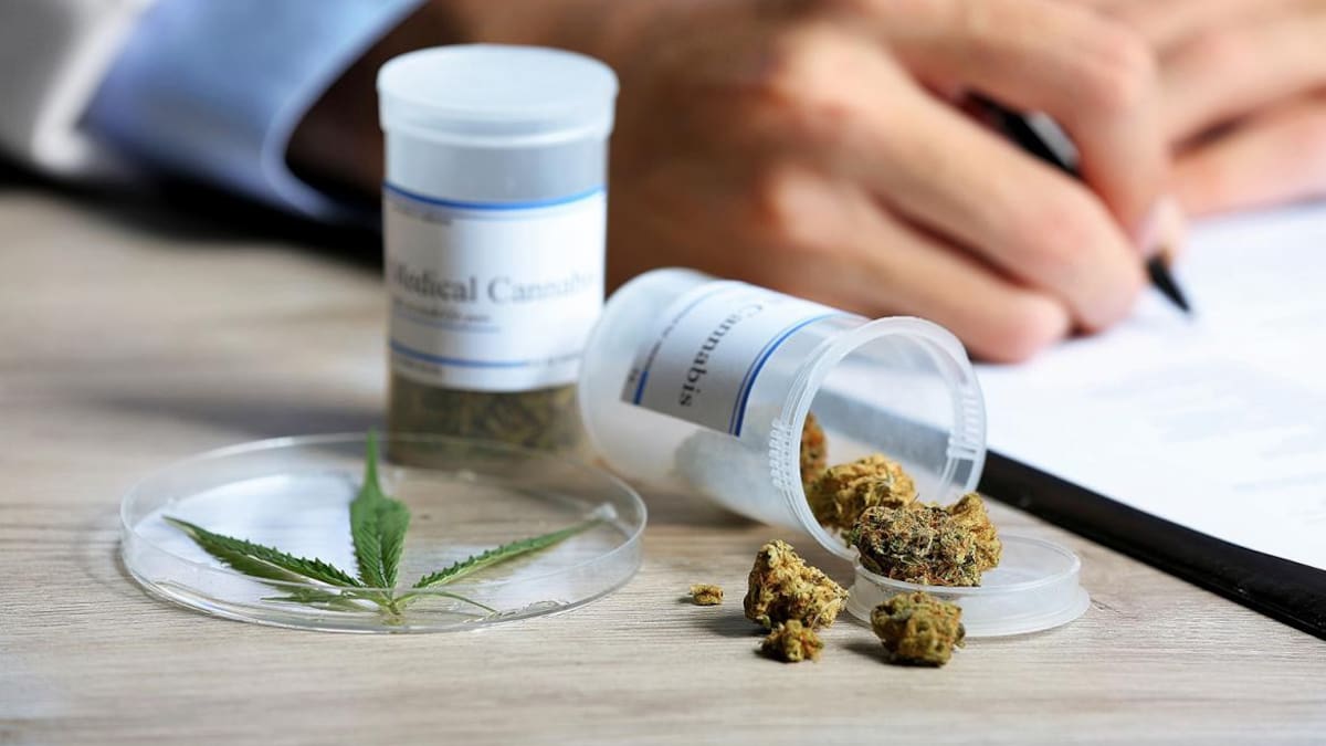 Cannabis medicinal