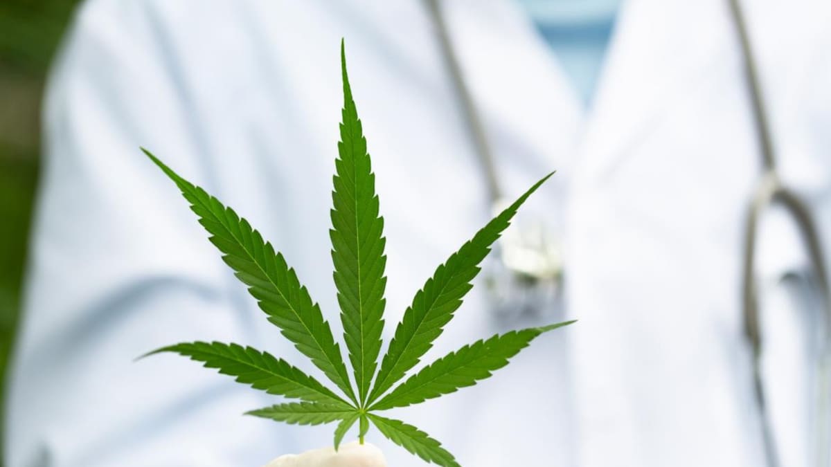 Un estudio analizó la relación entre el cannabis y la aparición de la psicosis
