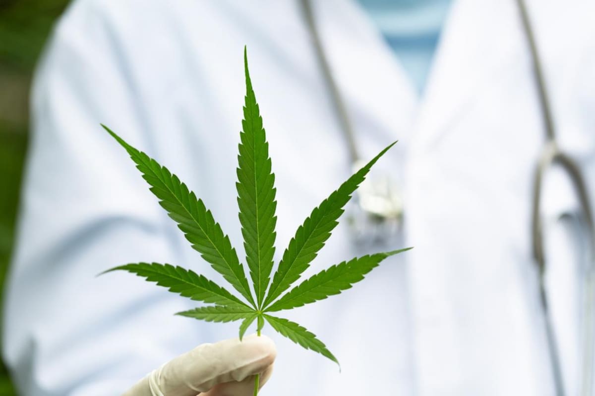 Cannabis medicinal