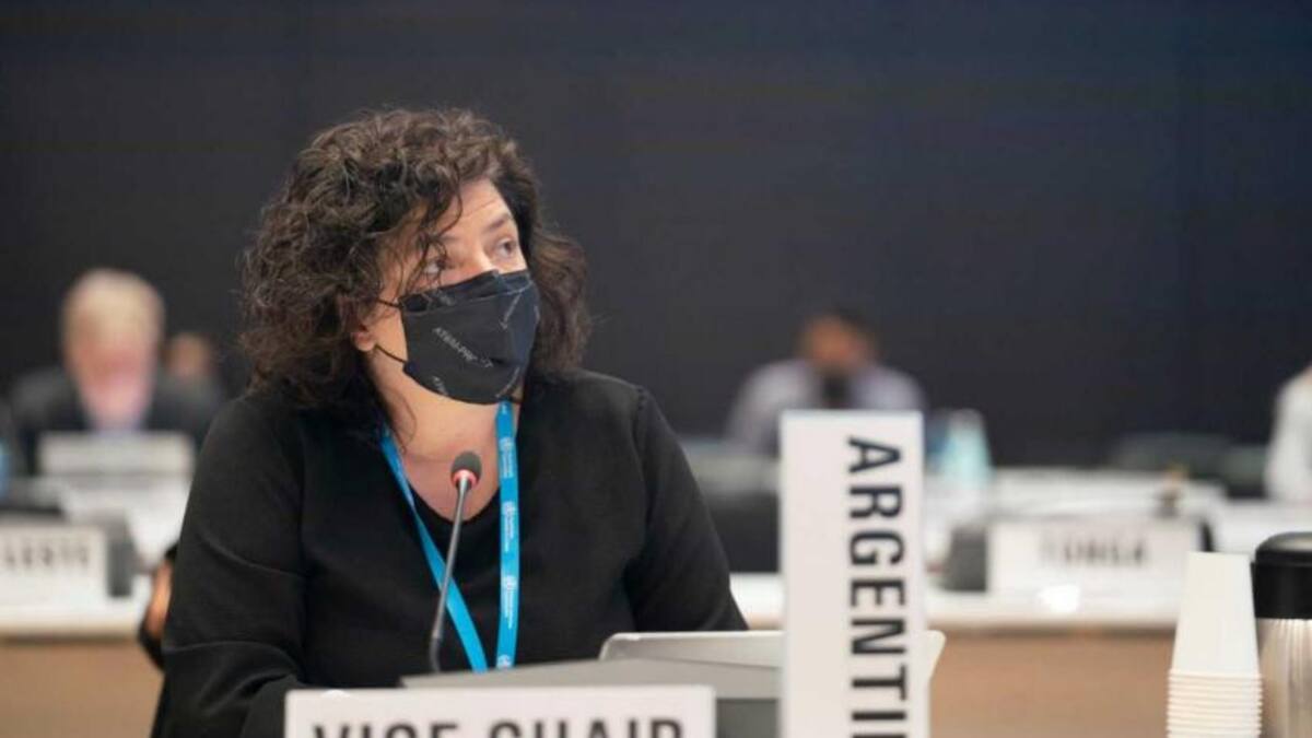 Carla Vizzotti, AGENCIA NA