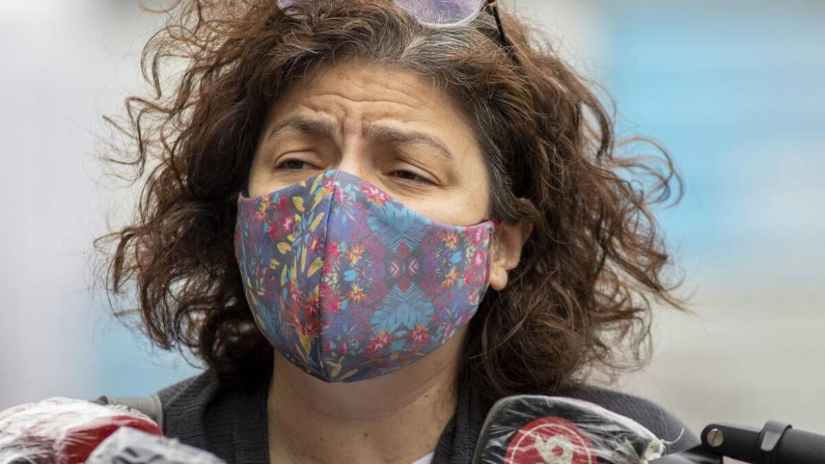 Carla Vizzotti, ministra de Salud de la Nación, Ministerio de Salud, NA