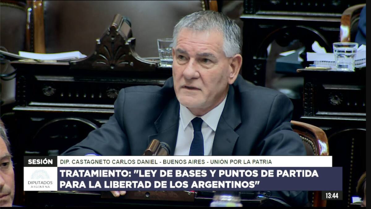 Carlos Castagneto en el debate de la Ley Ómnibus. Foto: Captura de video.