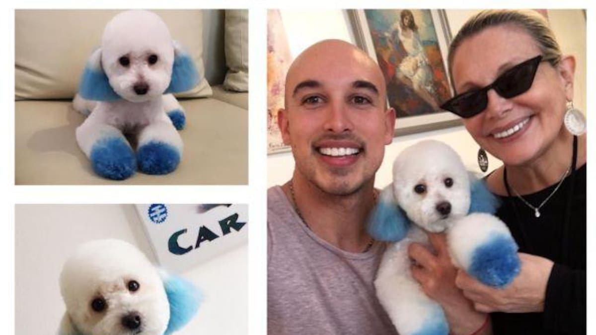 Carmen Barbieri y su perro pintado de azul