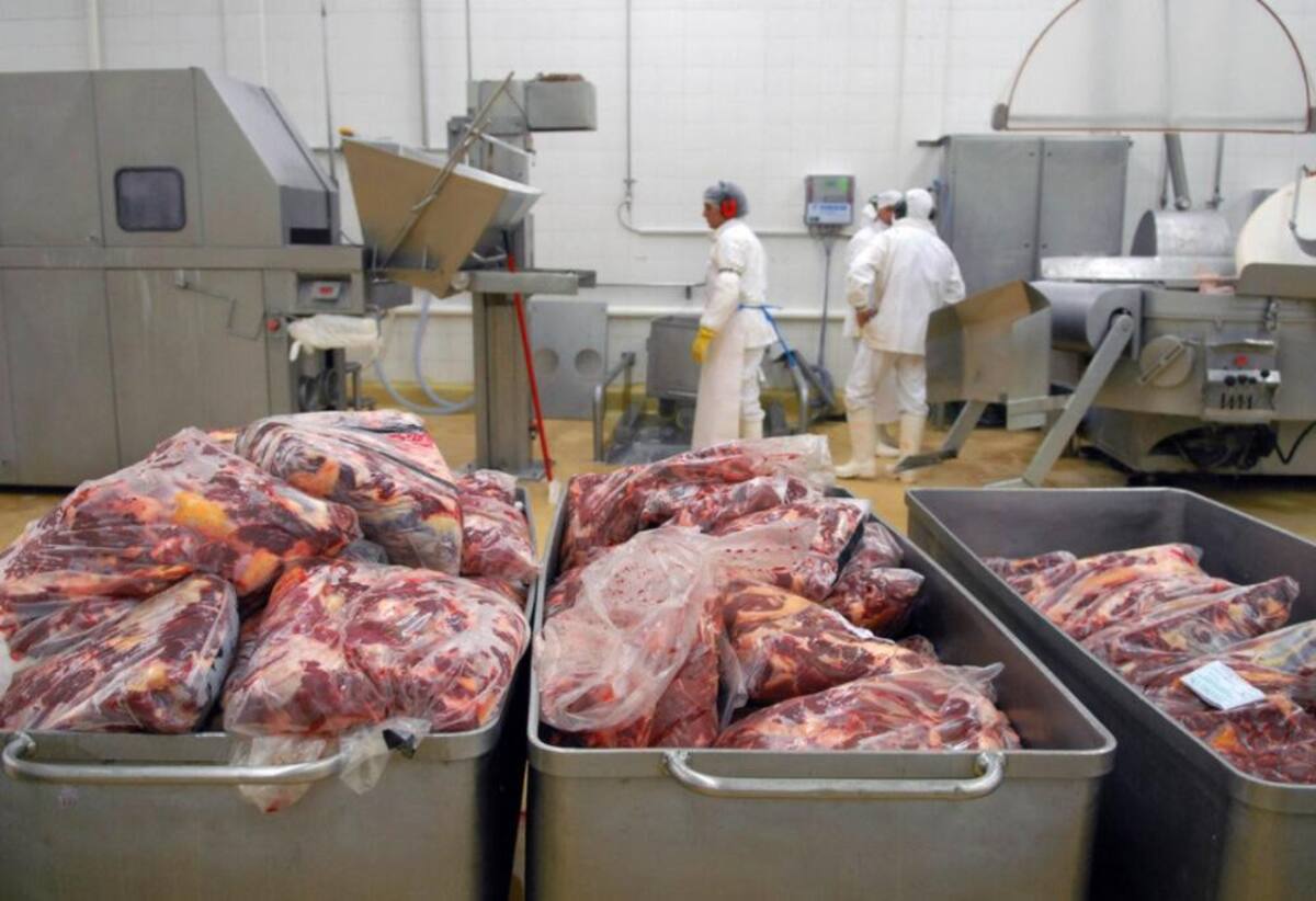 Carne, frigorífico, carne argentina, exportación de carne, NA