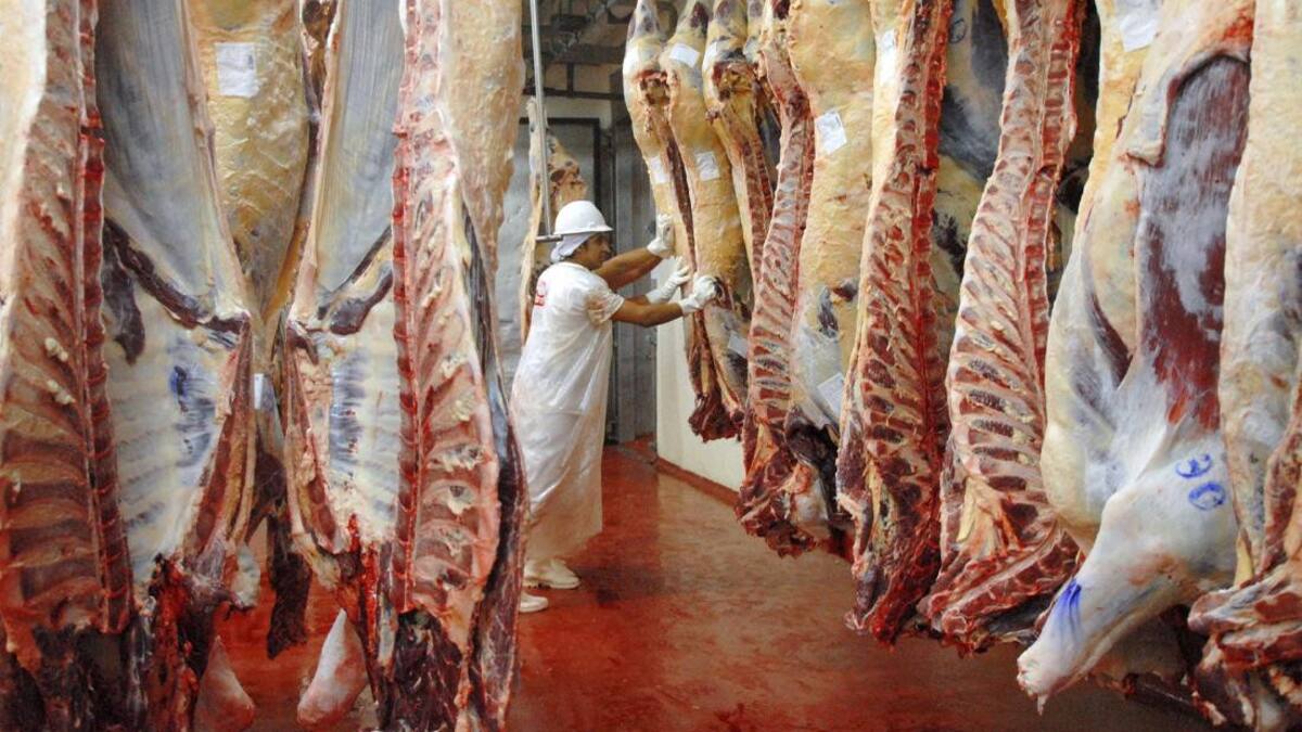 Carne, frigorífico, carne argentina, NA