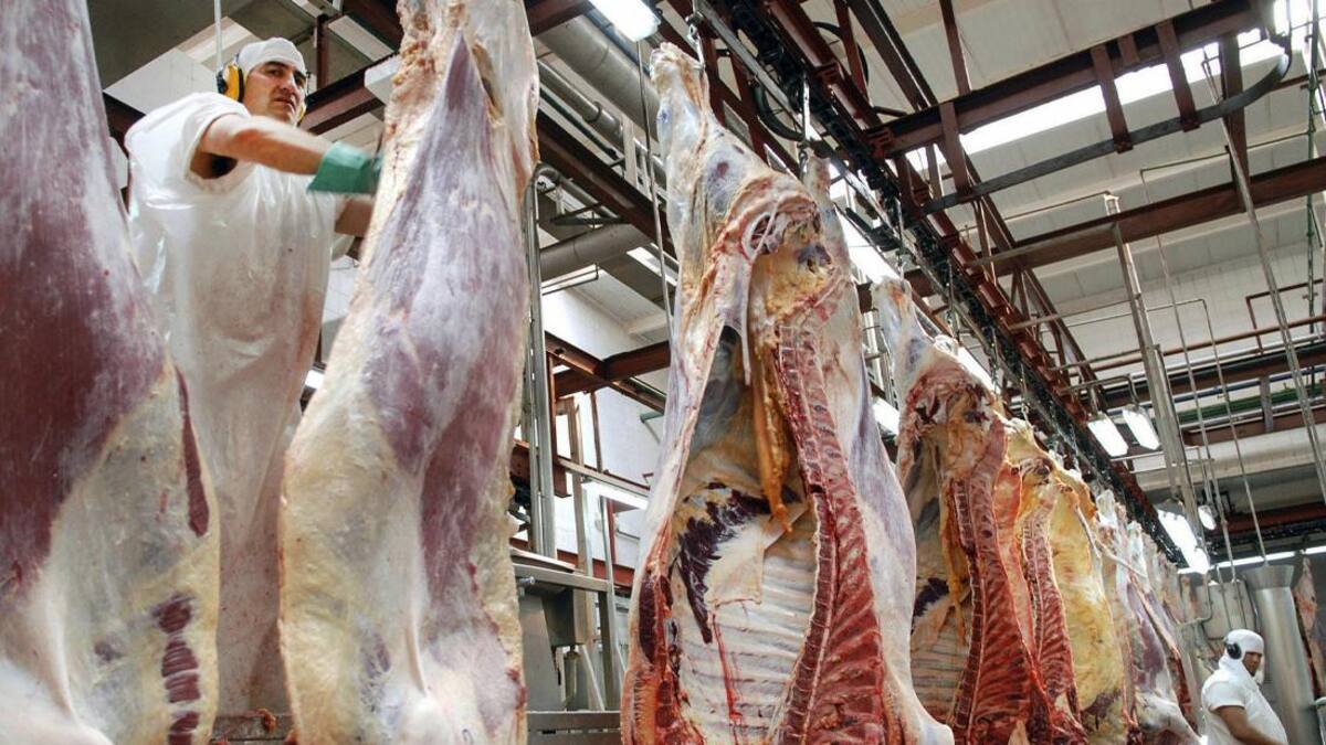 Carne, frigorífico, carne argentina, NA