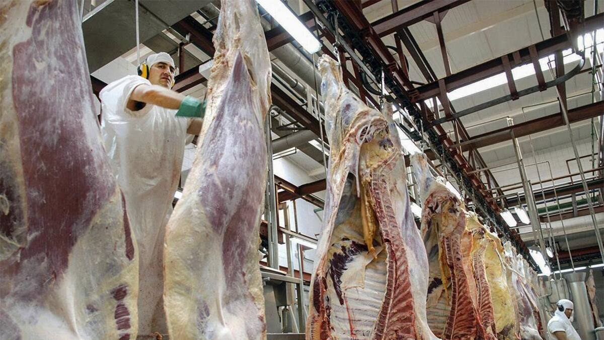 Carne, frigorífico, carne argentina, NA