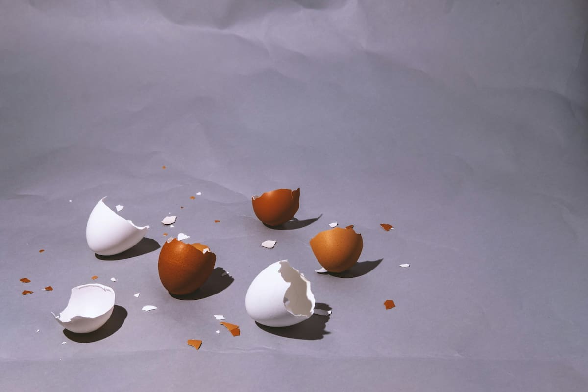 Cáscara de huevo. Foto: Unsplash.