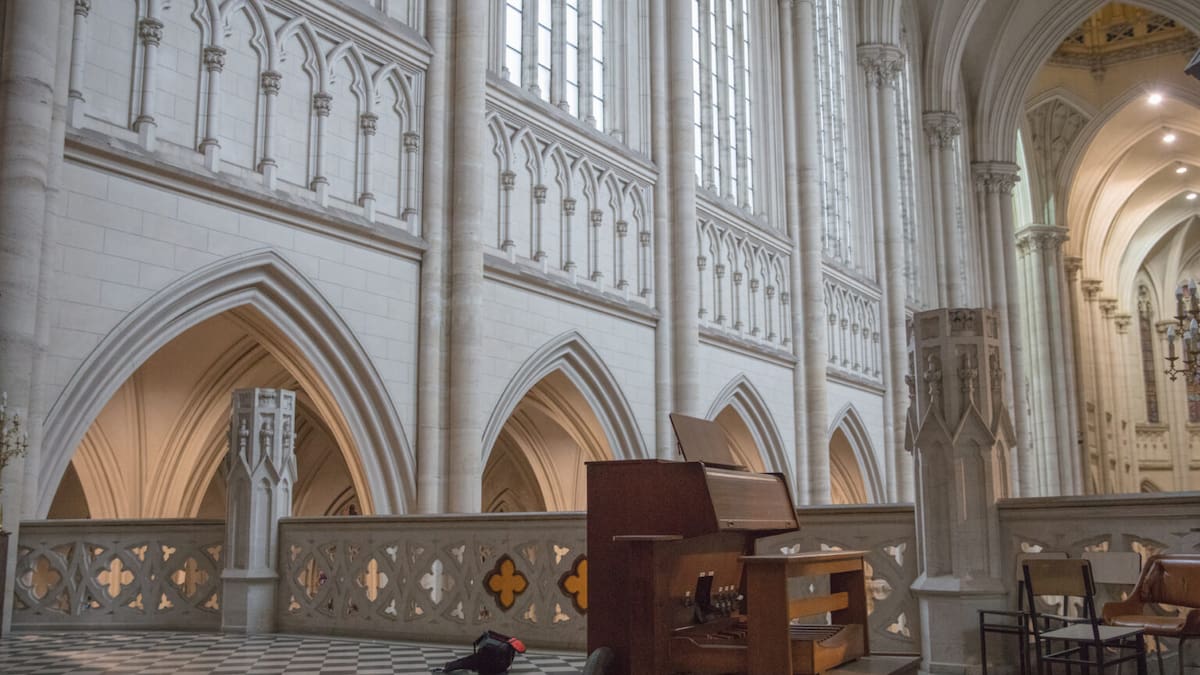 La Catedral de La Plata, la más linda del mundo: horarios, mirador, secretos y cómo visitar la joya que venció a Notre Dame