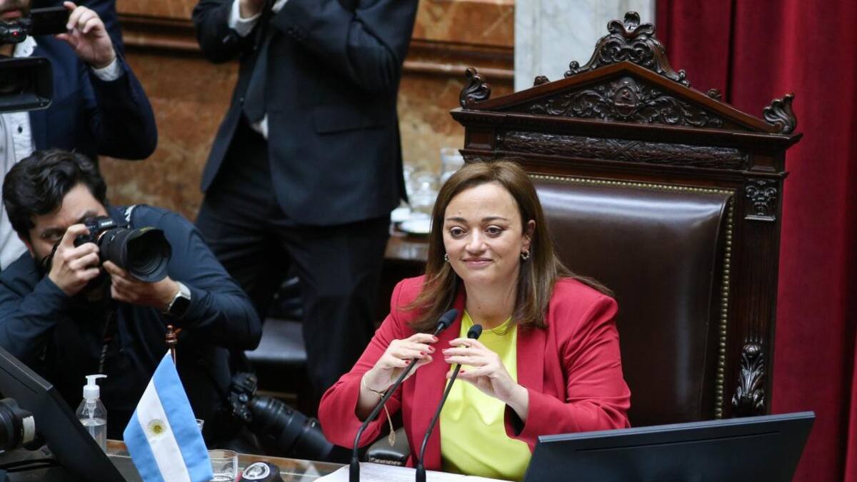 Cecilia Moreau, Diputados, Gobierno, NA
