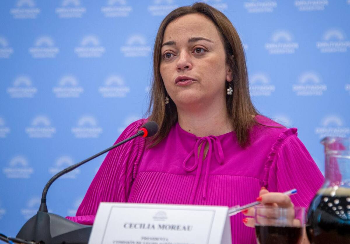 Cecilia Moreau, presidenta de la Cámara baja en lugar de Sergio Massa. Foto: NA.