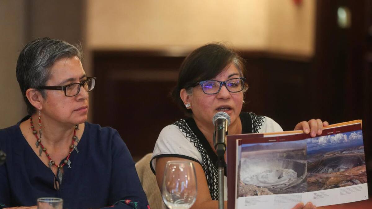 Cecilia Navarro (d), y la representante de la Fundación Heinrich Böll, Dolores Rojas, durante una rueda de prensa en Ciudad de México. EFE