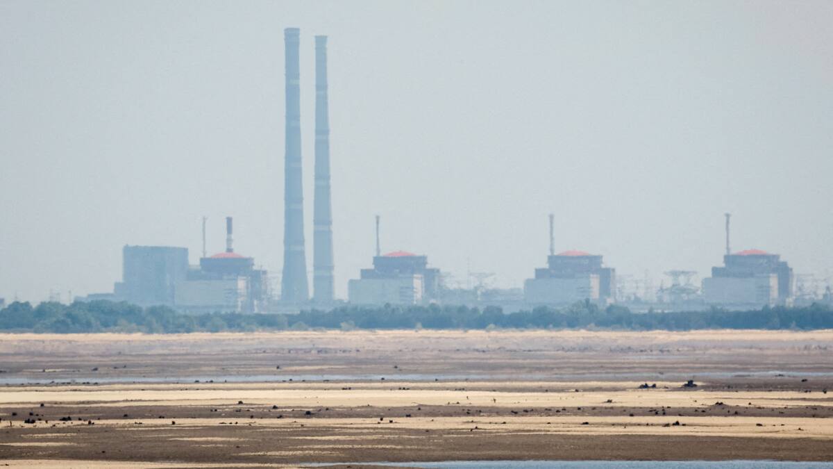 Central nuclear de Zaporiyia. Foto: REUTERS/Alina Smutko.