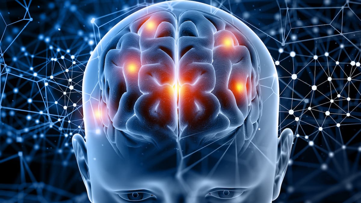 Cerebro. Foto Freepik.